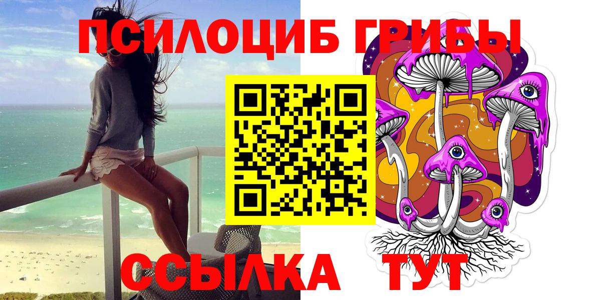 Псилоцибиновые грибы мицелий  что такое   Вход с VPN  Новодвинск  Псилоцибиновые грибы мухоморы 